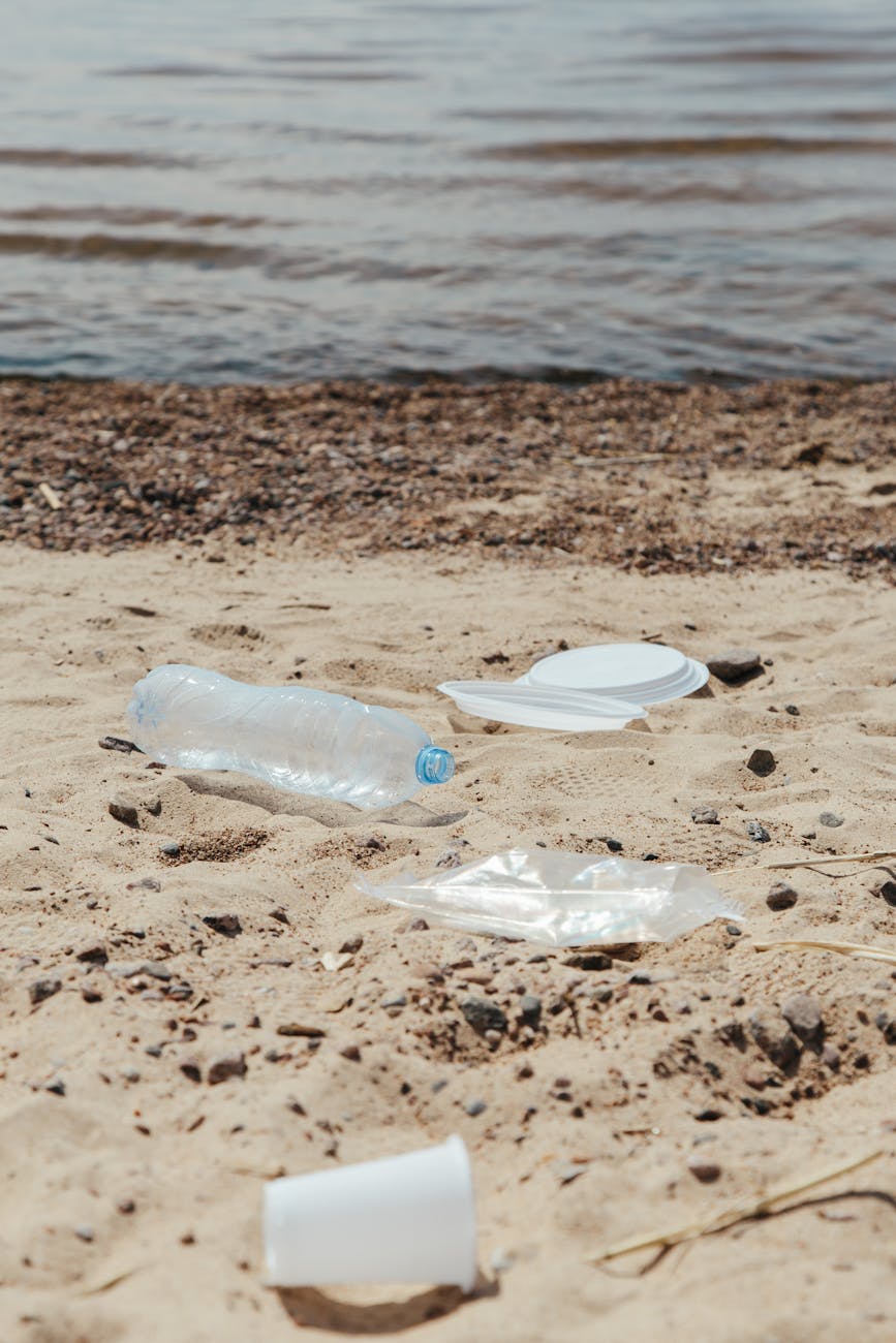 Plastic Pollution and Its Impact on Oceans and Freshwater&nbsp;Systems